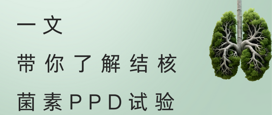 一文，带你了解结核菌素PPD试验 